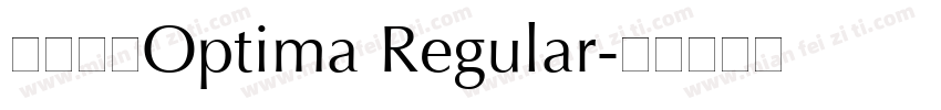 中文细体Optima Regular字体转换